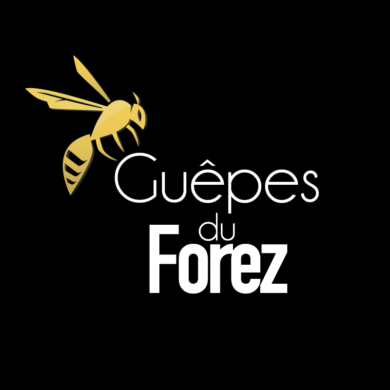 L'aventure Guêpes du Forez